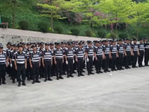 樂(lè)從執(zhí)法隊(duì)